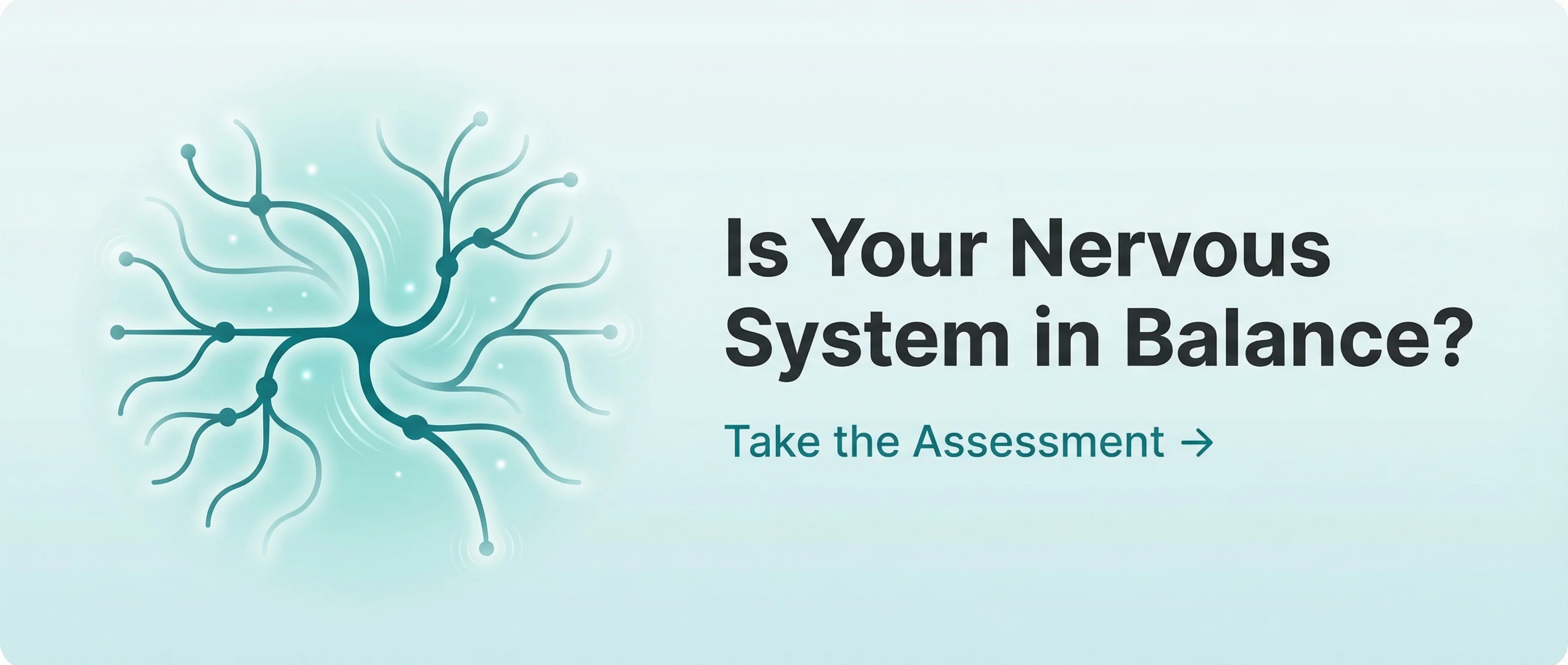 Is Your Nervous System in Balance? Take the Assessment