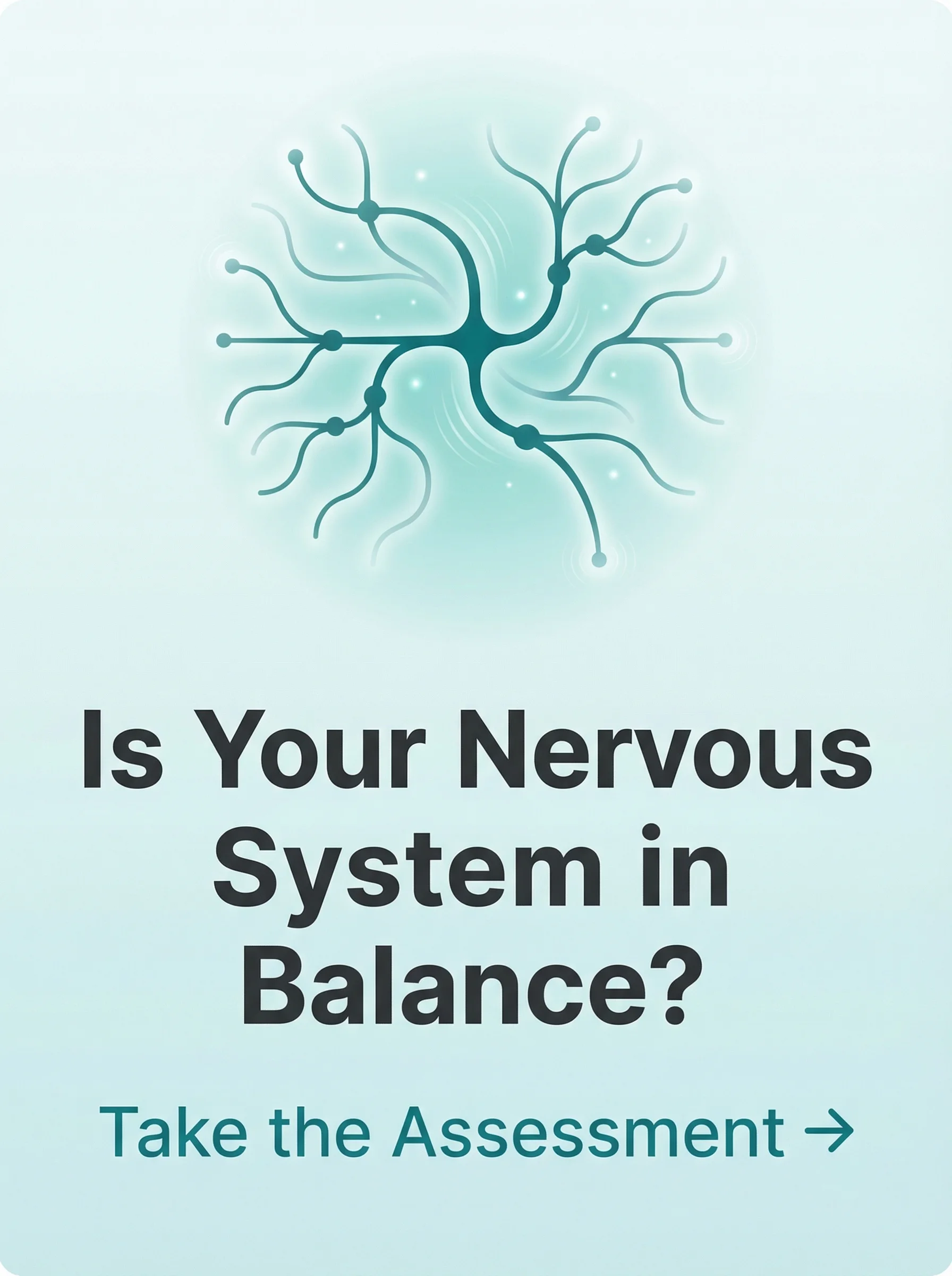 Is Your Nervous System in Balance? Take the Assessment
